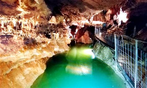 Cosmic cavern - Cosmic Cavern is Arkansas’s largest privately owned show cave. Cosmic Cavern was discovered in 1845 but wasn’t developed until 1927. Cosmic Cavern’s cave tour is approximately a 1hr and 15-minute walking tour in the warmest cave in the Ozarks, at a …